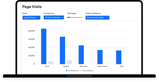 The Page Visits report in Wix Analytics.