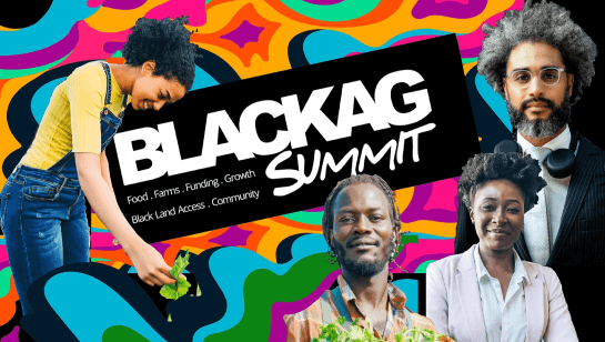 event landing page example